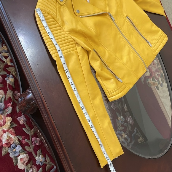 Jacket - Picture 4 of 15